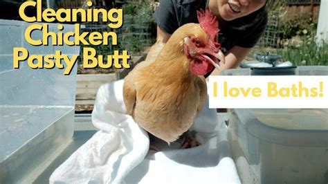 best way to clean a chickens bum